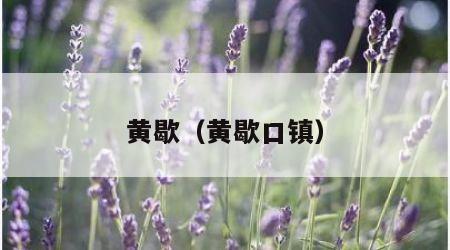 黄歇（黄歇口镇）