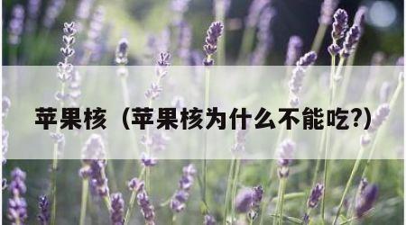 苹果核（苹果核为什么不能吃?）