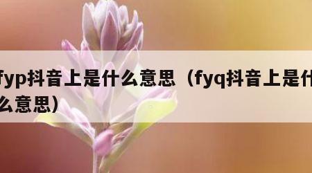 fyp抖音上是什么意思（fyq抖音上是什么意思）