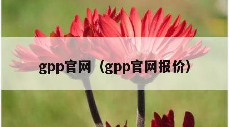 gpp官网（gpp官网报价）