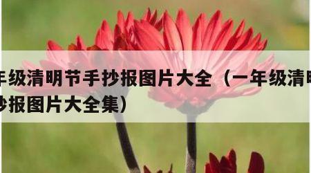 一年级清明节手抄报图片大全（一年级清明节手抄报图片大全集）