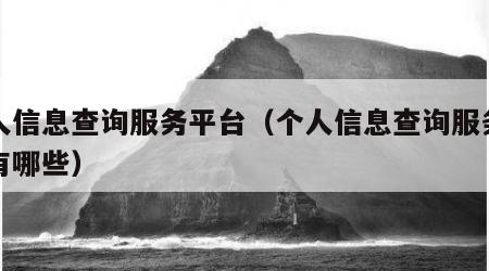 个人信息查询服务平台（个人信息查询服务平台有哪些）