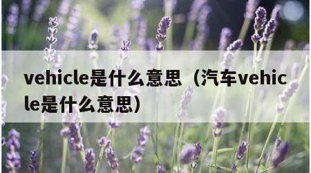 vehicle是什么意思（汽车vehicle是什么意思）