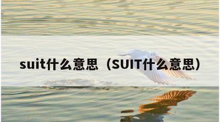 suit什么意思（SUIT什么意思）