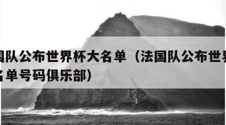 法国队公布世界杯大名单（法国队公布世界杯大名单号码俱乐部）