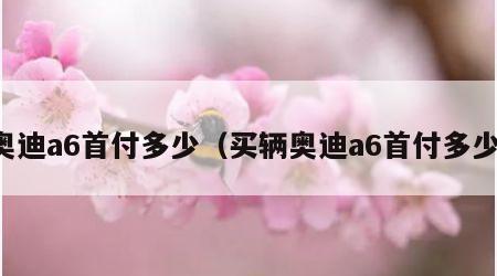 奥迪a6首付多少（买辆奥迪a6首付多少）