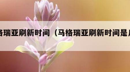 马格瑞亚刷新时间（马格瑞亚刷新时间是几点）