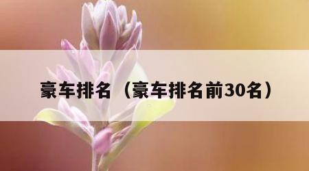 豪车排名（豪车排名前30名）