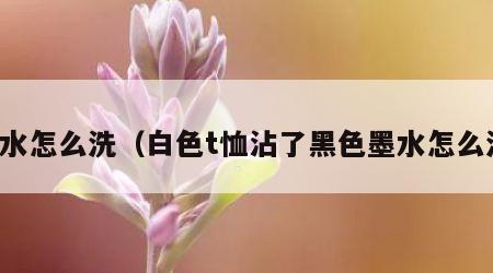 墨水怎么洗（白色t恤沾了黑色墨水怎么洗）