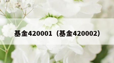 基金420001（基金420002）