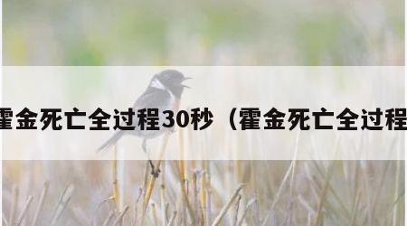 霍金死亡全过程30秒（霍金死亡全过程）