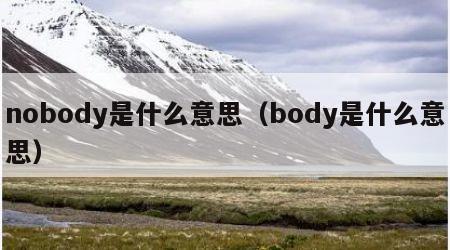 nobody是什么意思（body是什么意思）