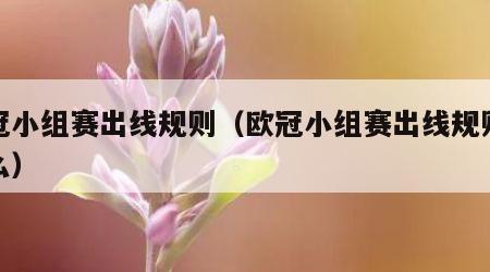 欧冠小组赛出线规则（欧冠小组赛出线规则是什么）