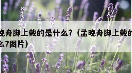 孟晚舟脚上戴的是什么?（孟晚舟脚上戴的是什么?图片）