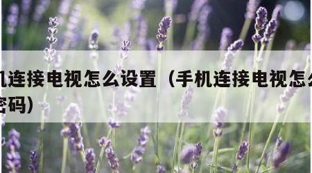 手机连接电视怎么设置（手机连接电视怎么设置密码）