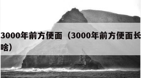 3000年前方便面（3000年前方便面长啥）