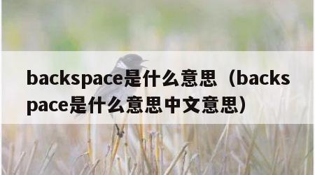 backspace是什么意思（backspace是什么意思中文意思）