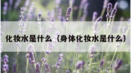 化妆水是什么（身体化妆水是什么）