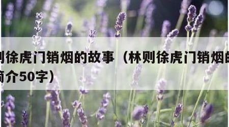 林则徐虎门销烟的故事（林则徐虎门销烟的故事简介50字）