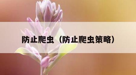 防止爬虫（防止爬虫策略）