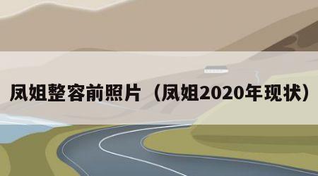 凤姐整容前照片（凤姐2020年现状）