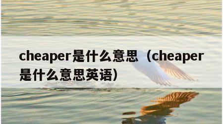 cheaper是什么意思（cheaper是什么意思英语）