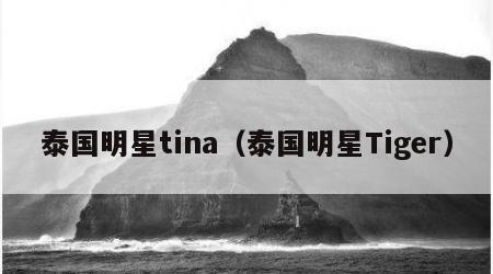 泰国明星tina（泰国明星Tiger）