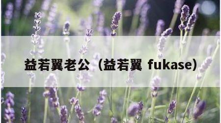 益若翼老公（益若翼 fukase）