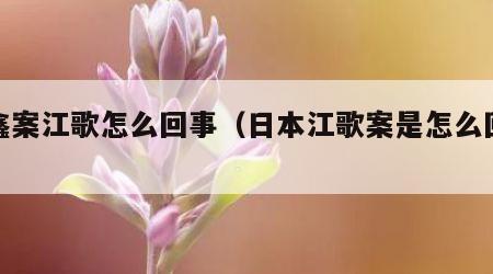 刘鑫案江歌怎么回事（日本江歌案是怎么回事）