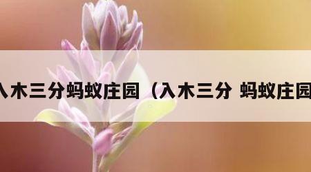 入木三分蚂蚁庄园（入木三分 蚂蚁庄园）