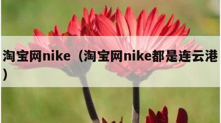 淘宝网nike（淘宝网nike都是连云港）