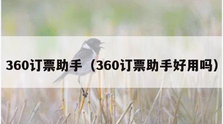 360订票助手（360订票助手好用吗）