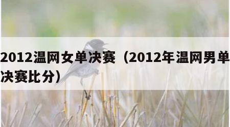 2012温网女单决赛（2012年温网男单决赛比分）