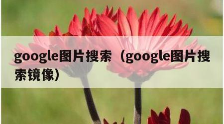 google图片搜索（google图片搜索镜像）