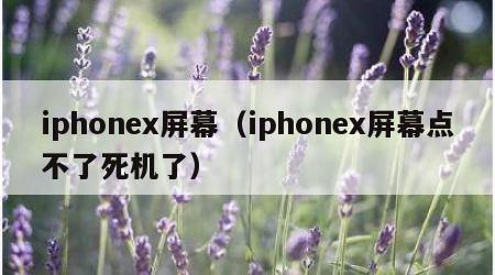 iphonex屏幕（iphonex屏幕点不了死机了）