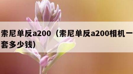 索尼单反a200（索尼单反a200相机一套多少钱）