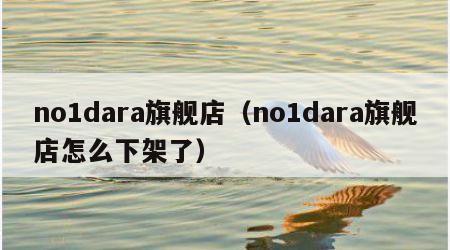 no1dara旗舰店（no1dara旗舰店怎么下架了）