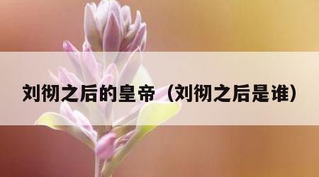 刘彻之后的皇帝（刘彻之后是谁）