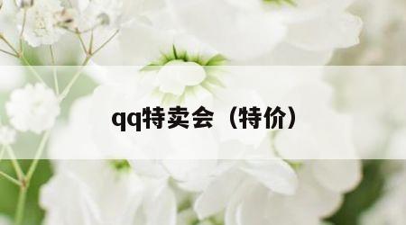 qq特卖会（特价）