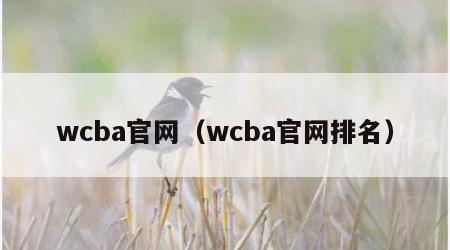 wcba官网（wcba官网排名）