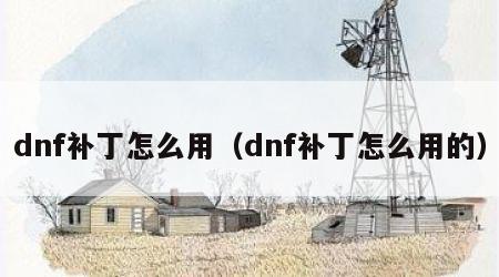 dnf补丁怎么用（dnf补丁怎么用的）