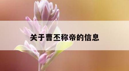 关于曹丕称帝的信息