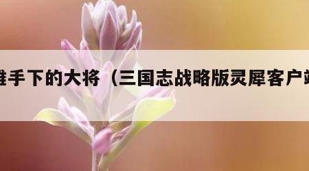 姜维手下的大将（三国志战略版灵犀客户端官网）