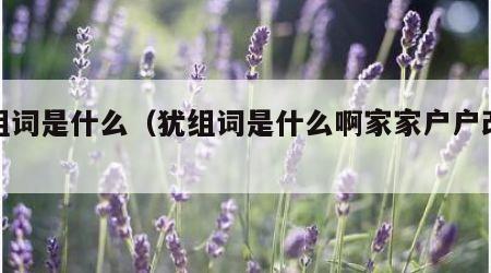 犹组词是什么（犹组词是什么啊家家户户改变）