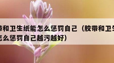 胶带和卫生纸能怎么惩罚自己（胶带和卫生纸能怎么惩罚自己越污越好）