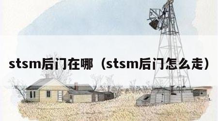 stsm后门在哪（stsm后门怎么走）