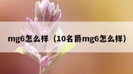 mg6怎么样（10名爵mg6怎么样）