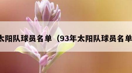 太阳队球员名单（93年太阳队球员名单）