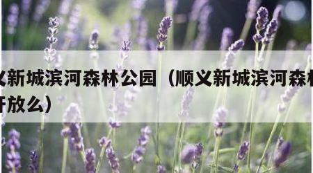 顺义新城滨河森林公园（顺义新城滨河森林公园开放么）