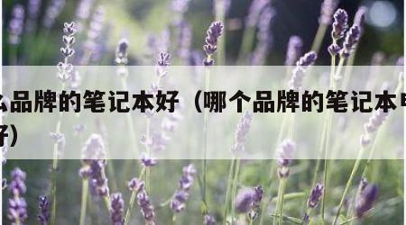 什么品牌的笔记本好（哪个品牌的笔记本电脑最好）